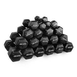 Kit Dumbbell Iron